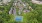 Drone photo of the community